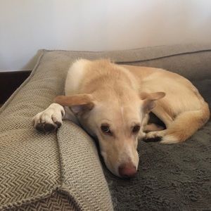 Meet your Posher, Katharine